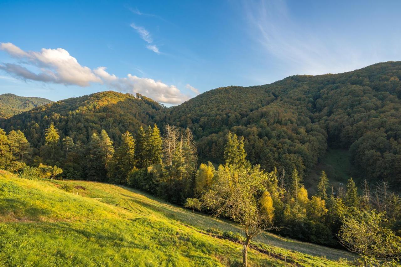 Ubytovanie Pod Gastanom Hodruša Esterno foto
